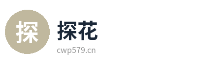 探花发现精彩影视传媒Logo